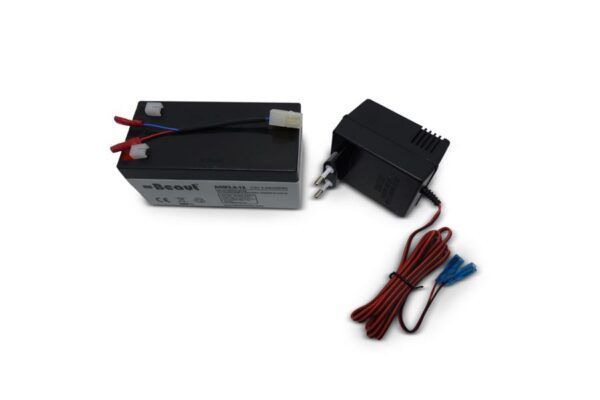 Accu en bijpassende lader