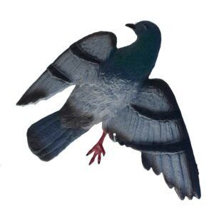 FlattyPigeon - silhouet van een duif