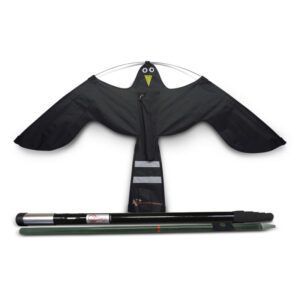 Black Hawk Kite 10 meter