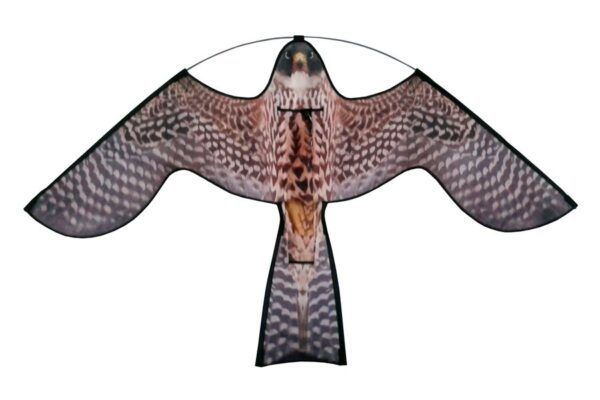 Reserve vlieger Hawk Kite met roofvogelprint