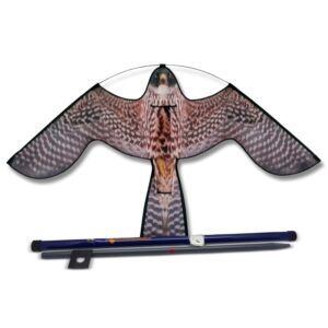 Hawk kite roofvogelprint